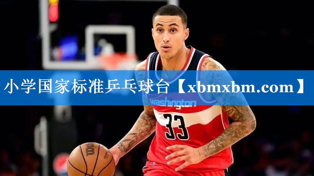 小学国家标准乒乓球台