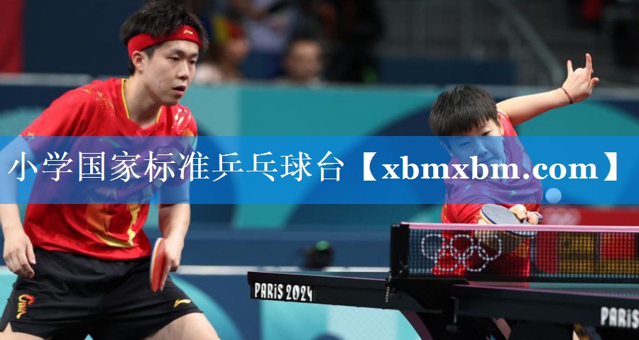 小学国家标准乒乓球台